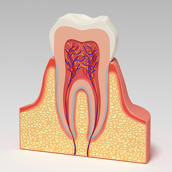 市川市行徳駅前のなるべく神経を残す治療